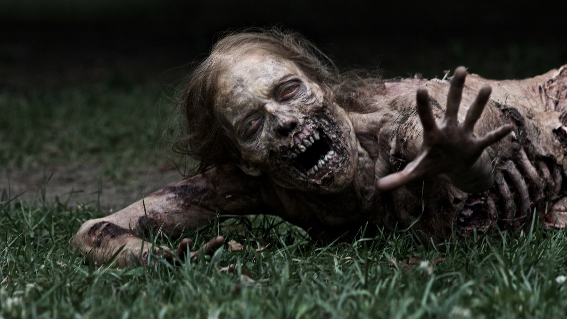 seria trawa zombie serial the walking dead