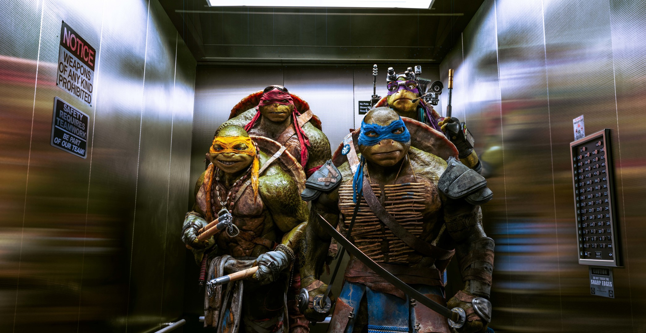 donatello ninja turtles leonardo raphael michelangelo