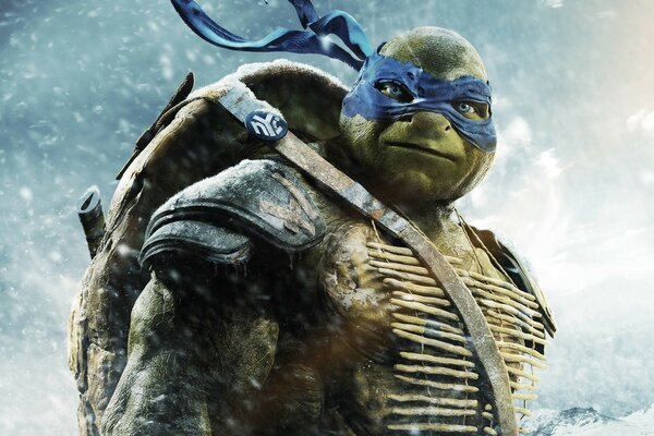 Wojownicze Żółwie Ninja fantastyka Rafael o niebieskich oczach
