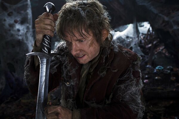 A hobbit with a sword. The Brotherhood of the Ring