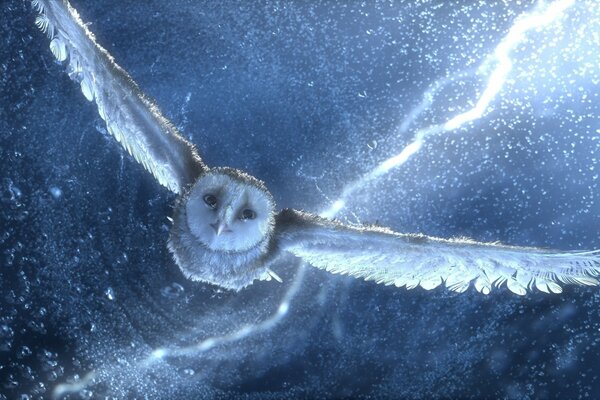 A white owl on a blue starry sky background