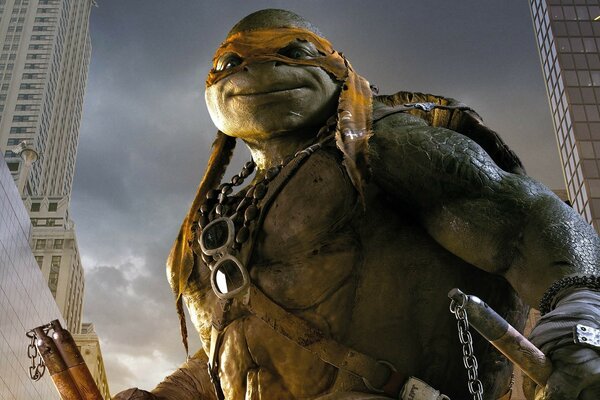 Fantastic shots with a teenage mutant ninja turtle