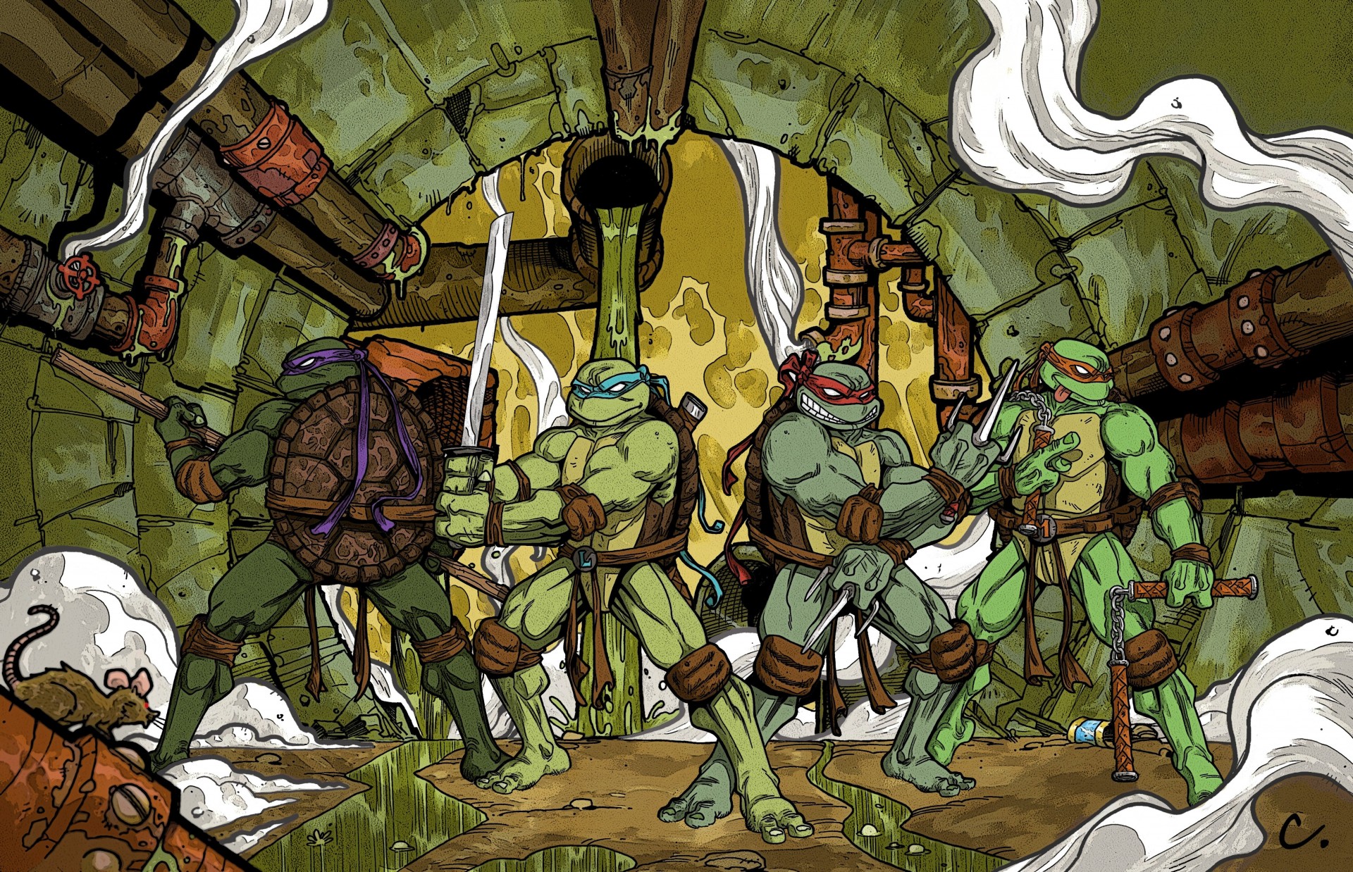 ninja turtles raphael michelangelo donatello leonardo