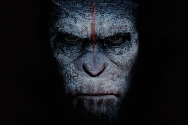 El mono de la película el planeta de los simios