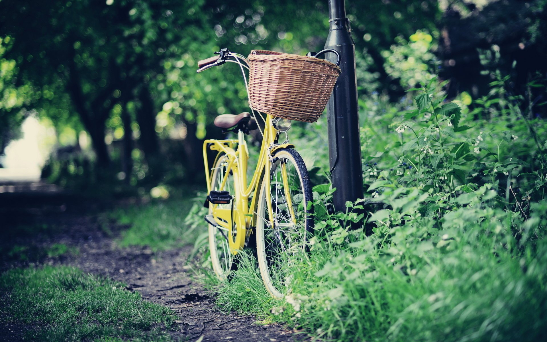 straße fahrrad park