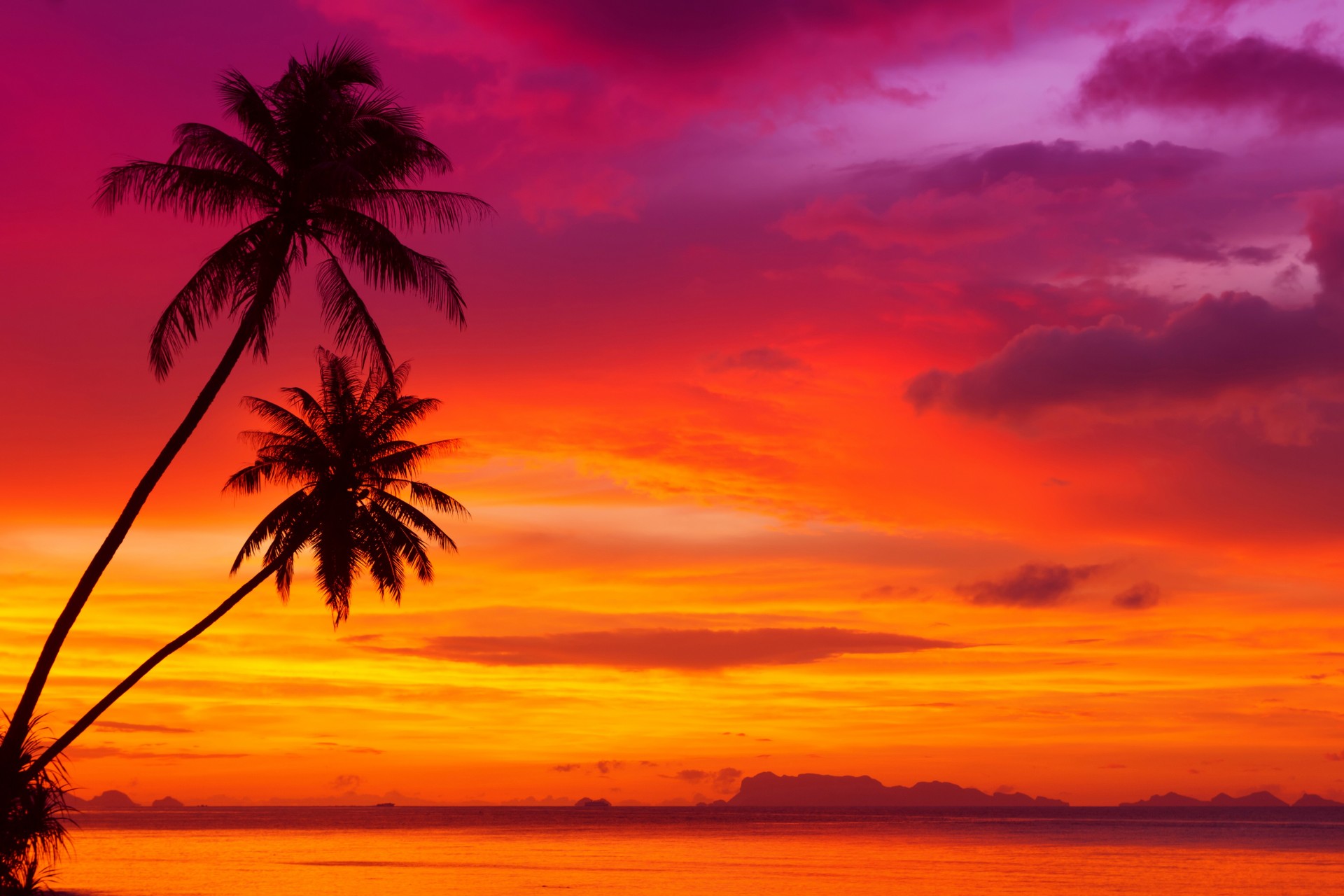 spiaggia palme tramonto natura tropici riva cielo paesaggio spiaggia tropicale bellissimo cielo rosso oceano