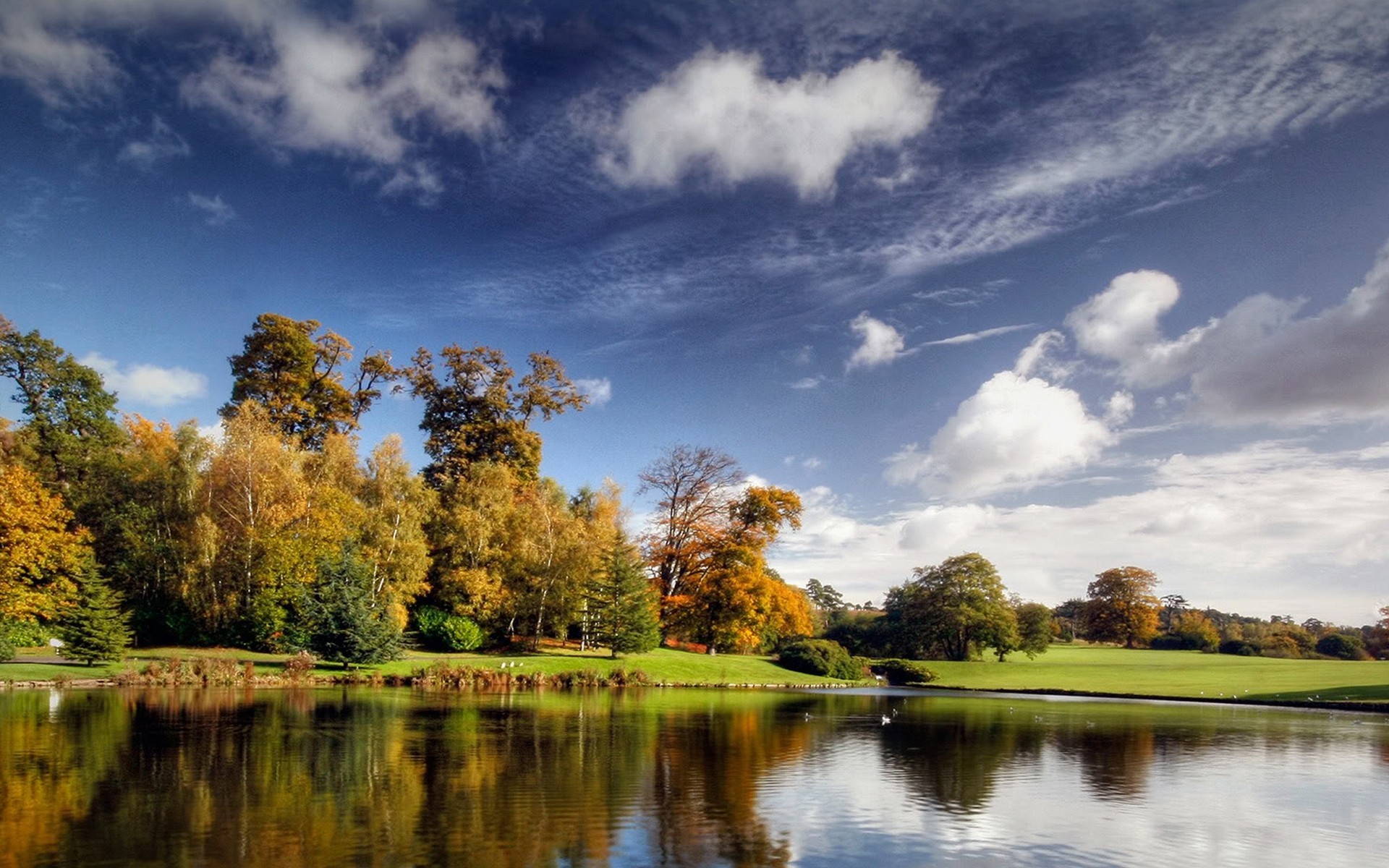 riflessione lago alberi foresta sole cielo paesaggio autunno