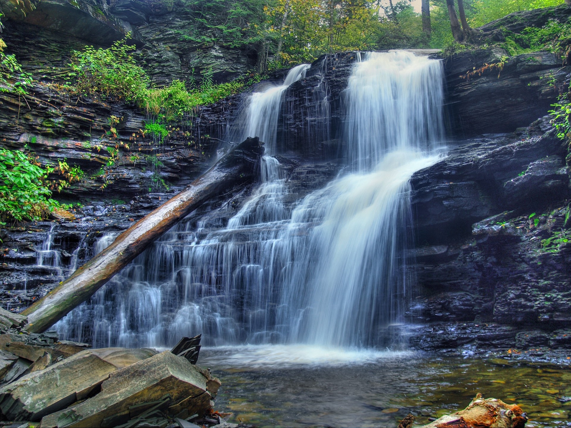 tree river waterfall cascade nature