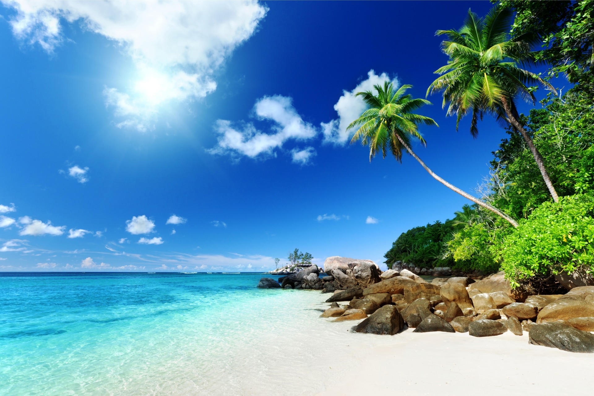 tones beach palm trees nature tropics summer sun sky summer