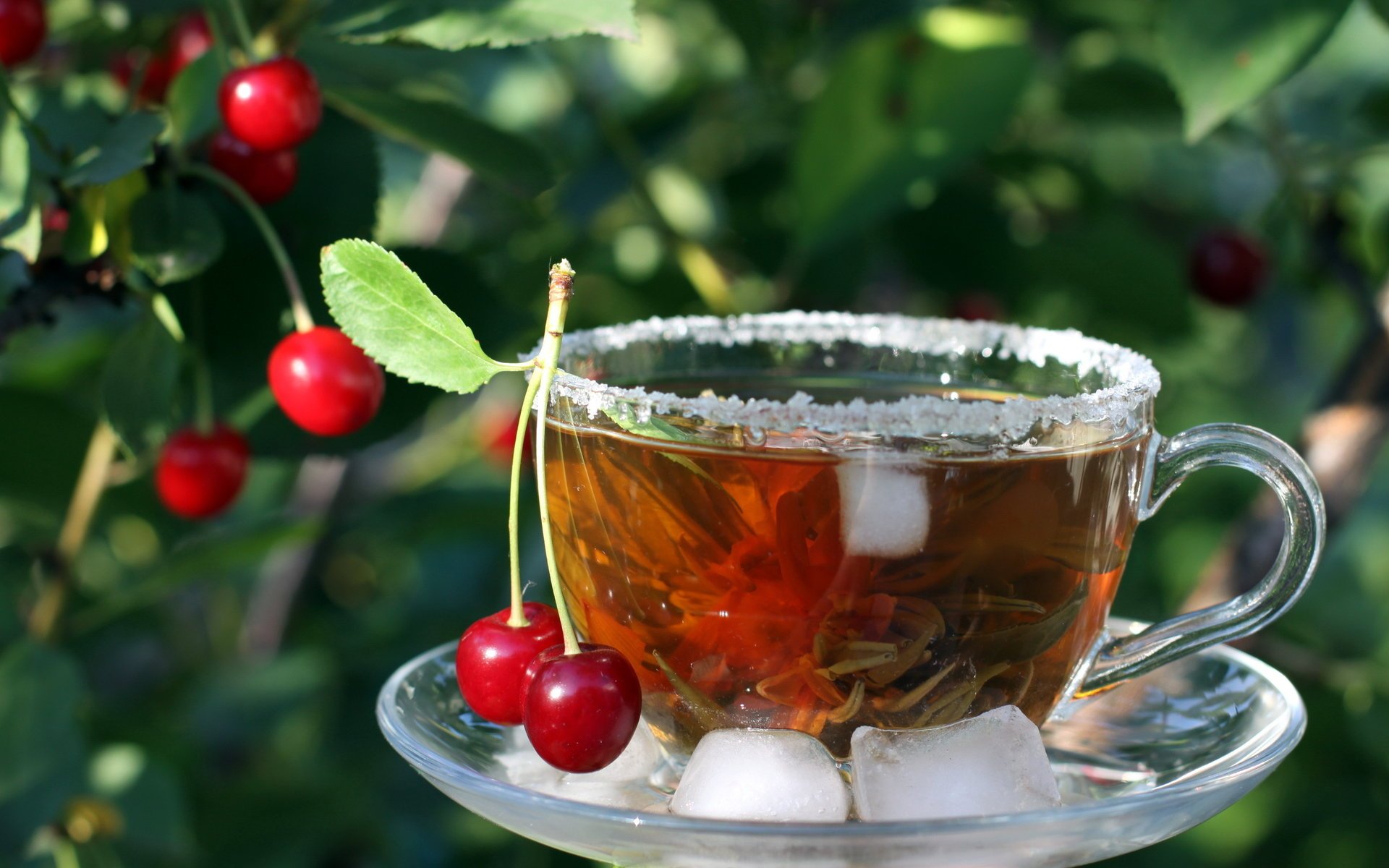 té taza cereza hielo