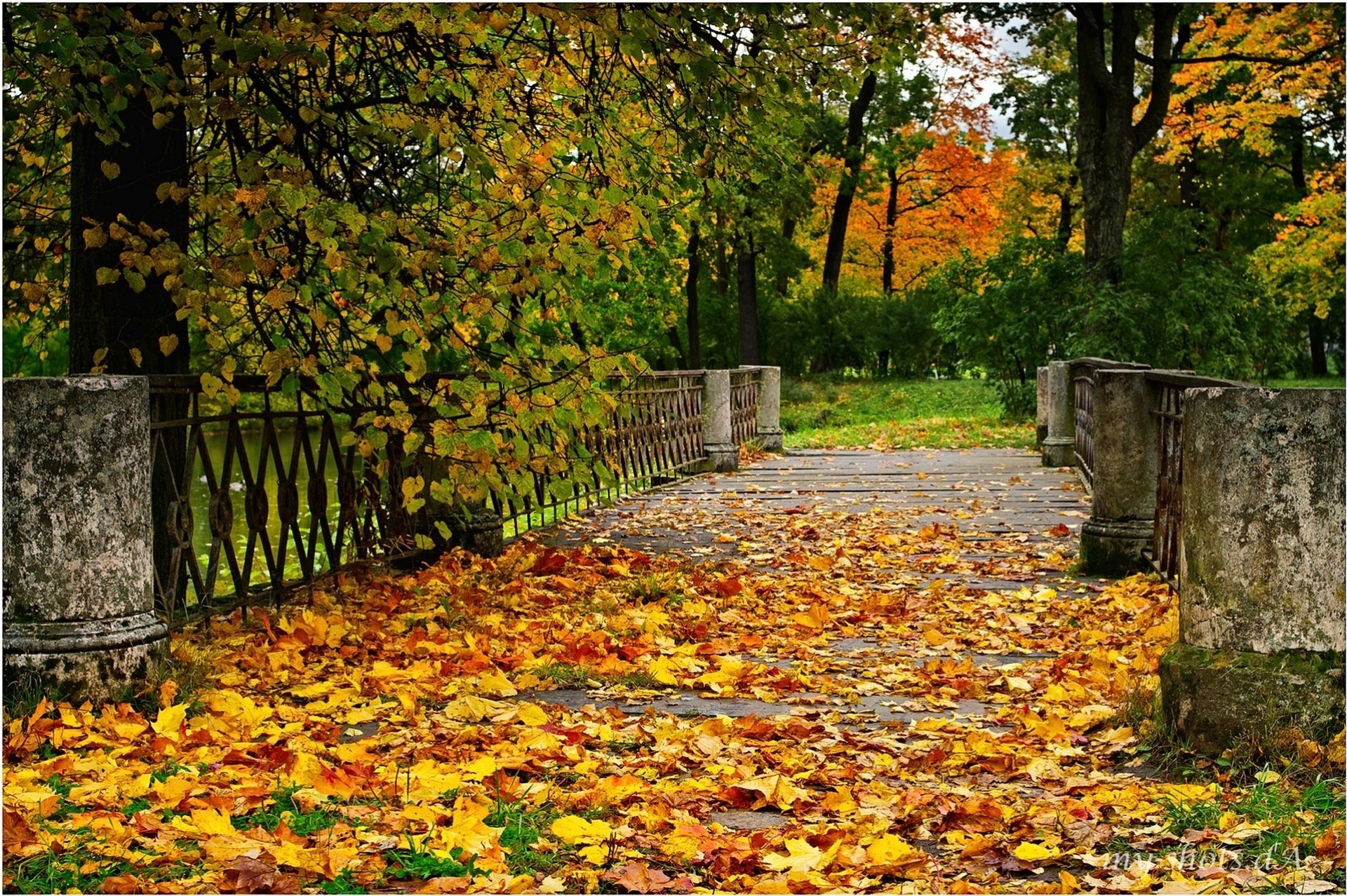 otoño puente paisaje árboles