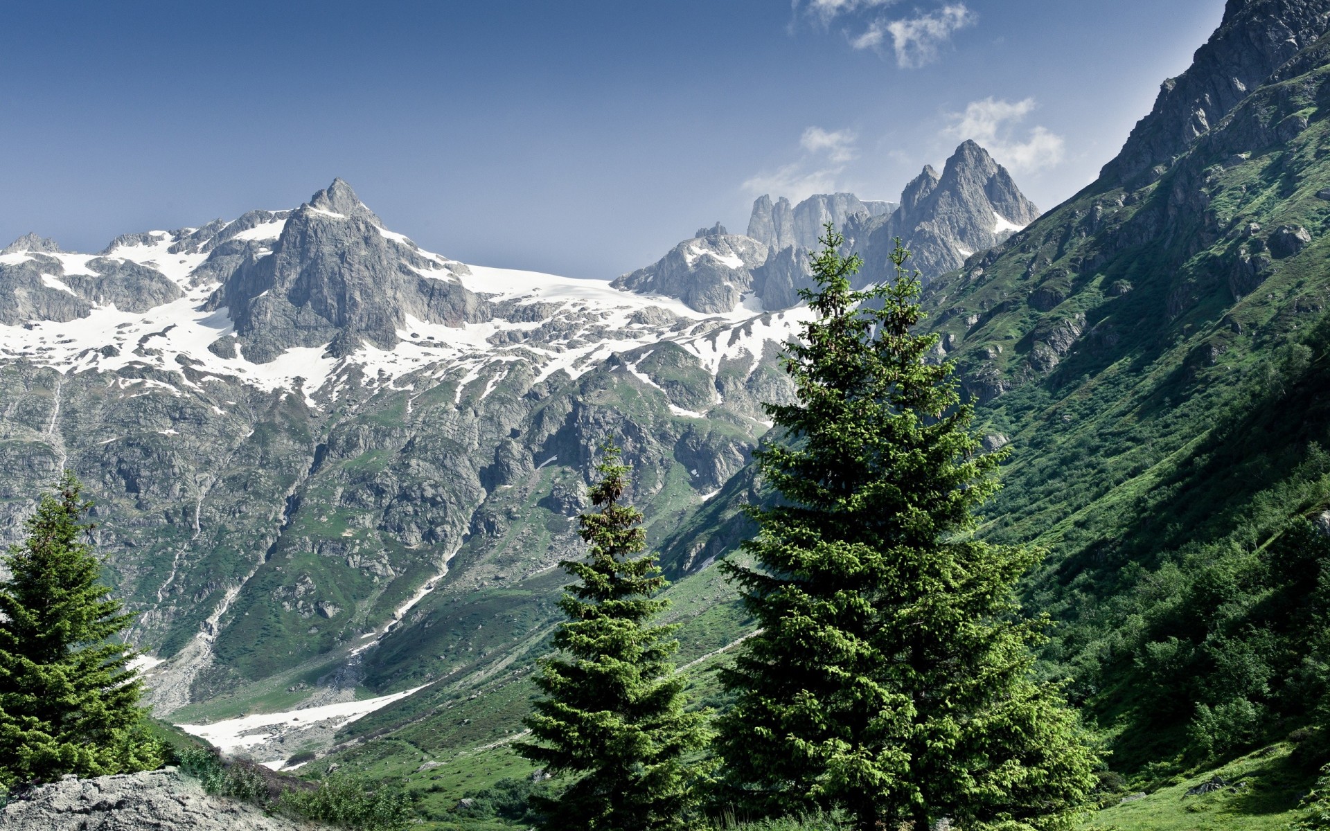 ummer alps forest mountain nature