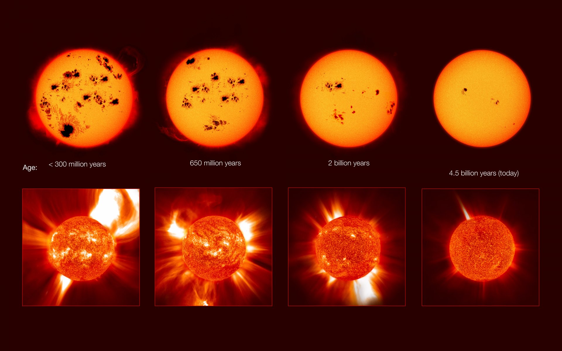 sole inizio vita fine morte attività prominenze macchie corona