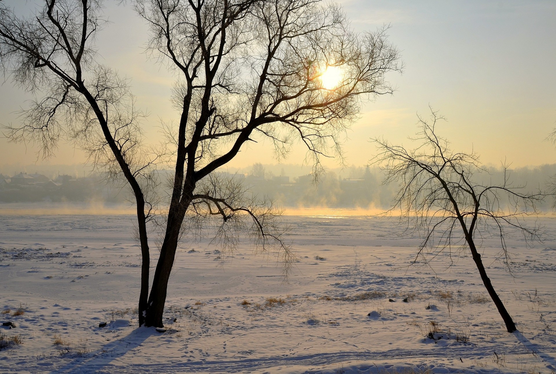 kaunas lituania persone alberi foschia neve luce