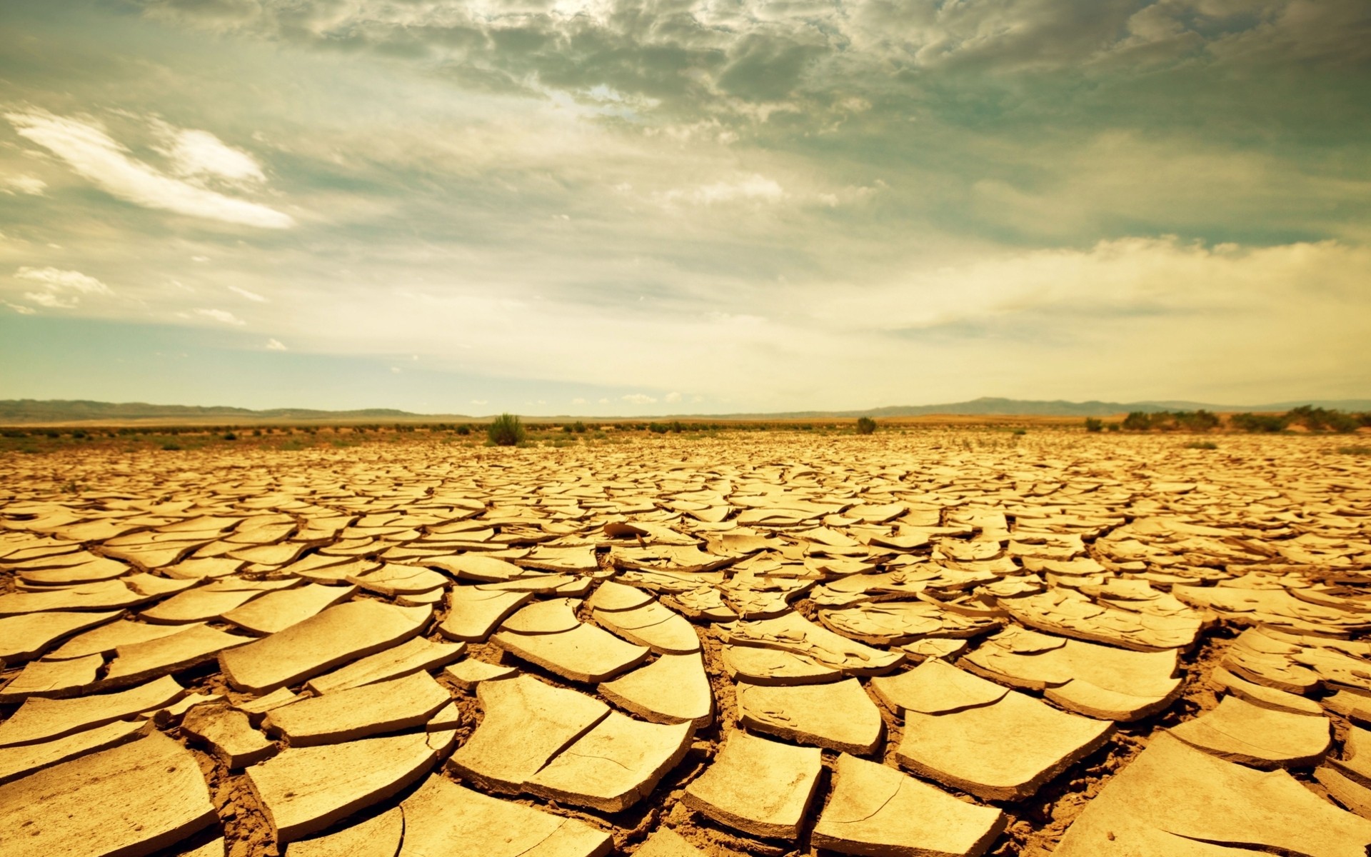 wüste landschaften sommer