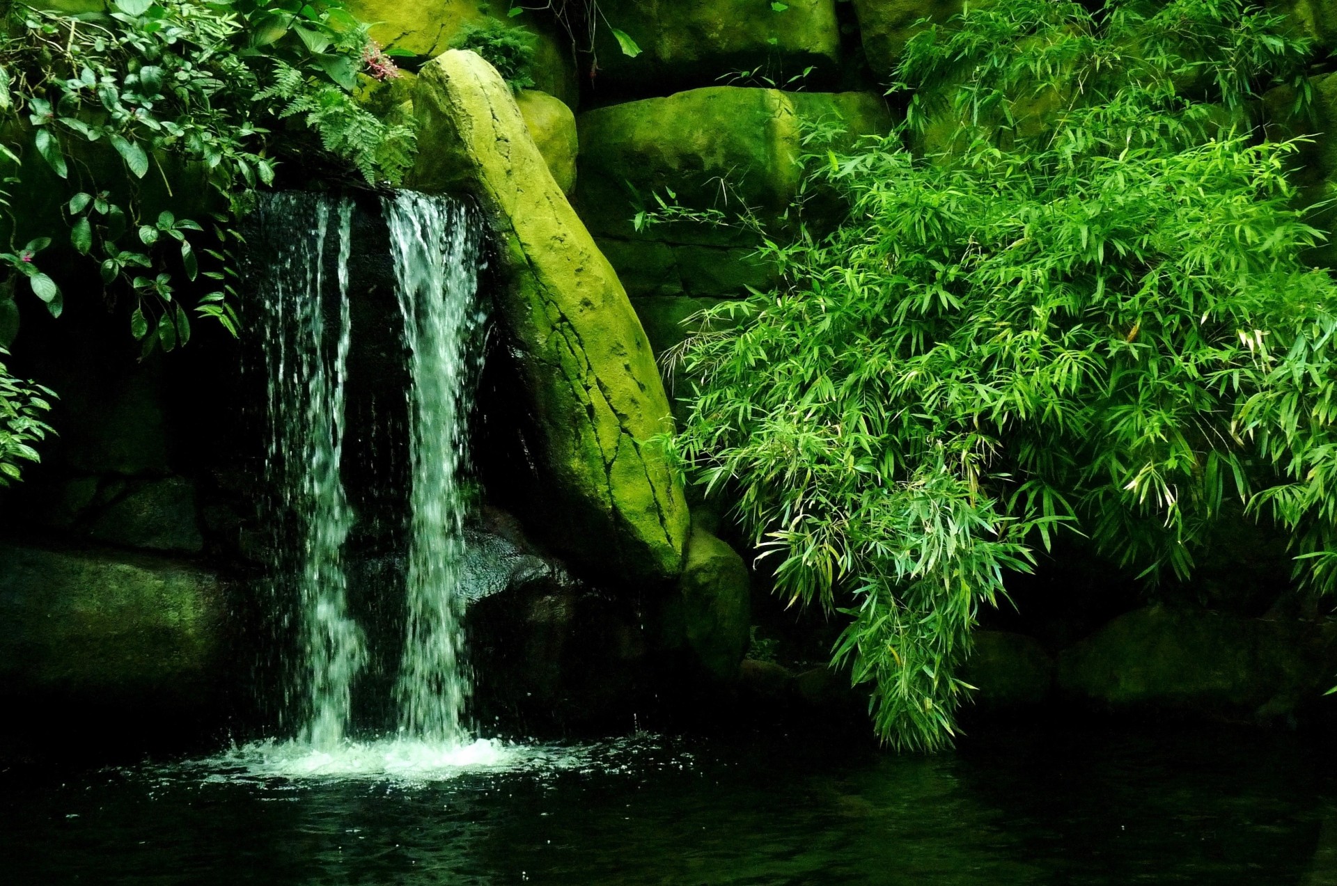 piedras arbustos cascada naturaleza