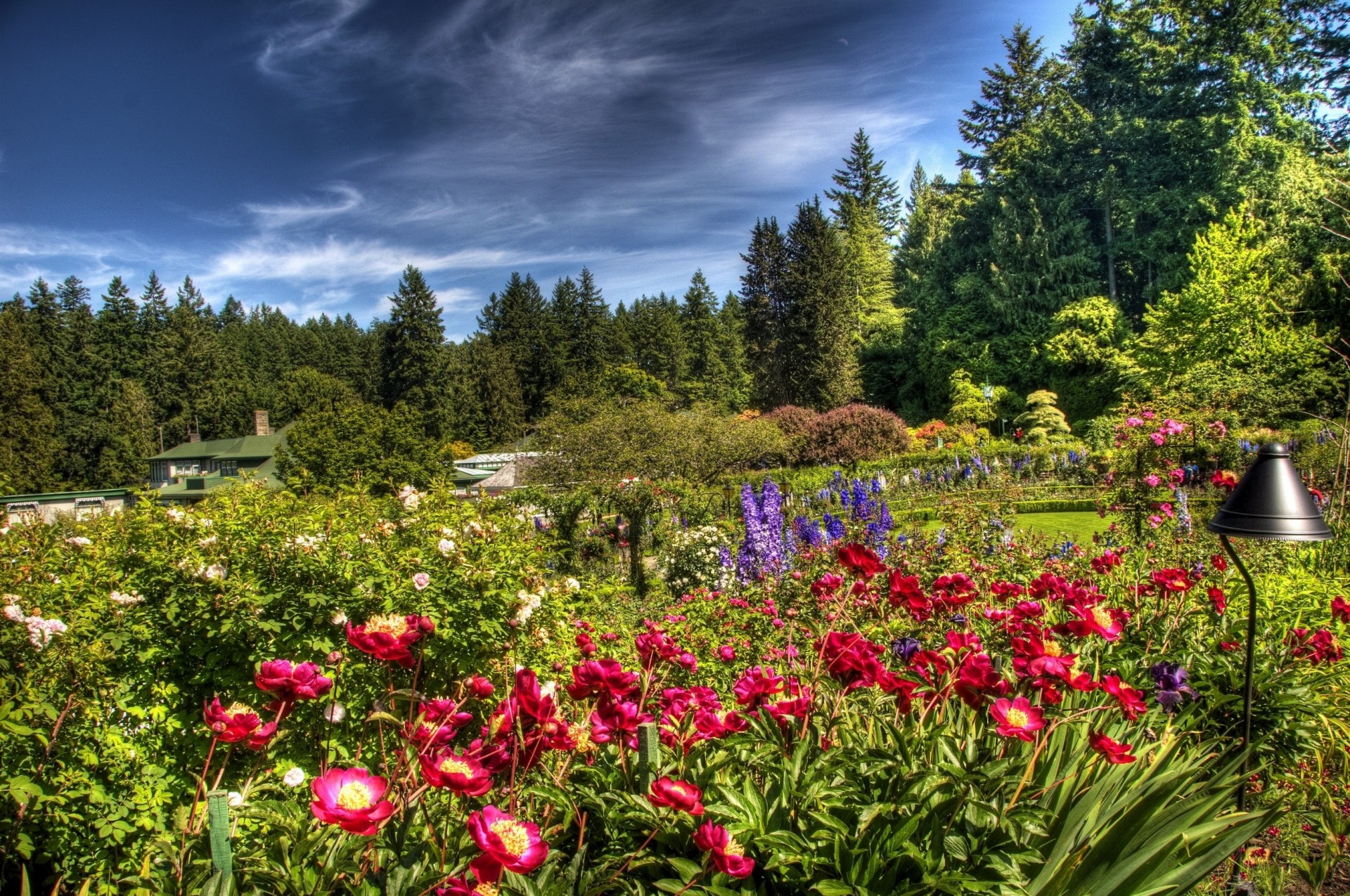 leggerezza lanterna cielo fiori nuvole luminoso flora verde giardino