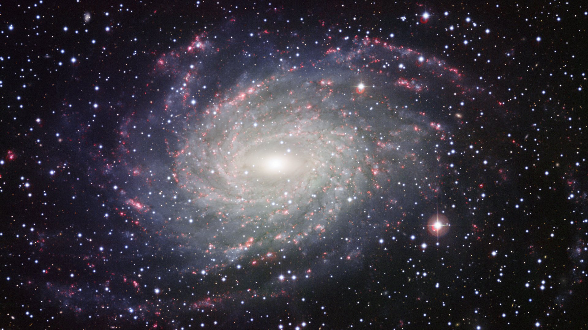 ngc 6744 galaktyka spiralna podobna do drogi mlecznej