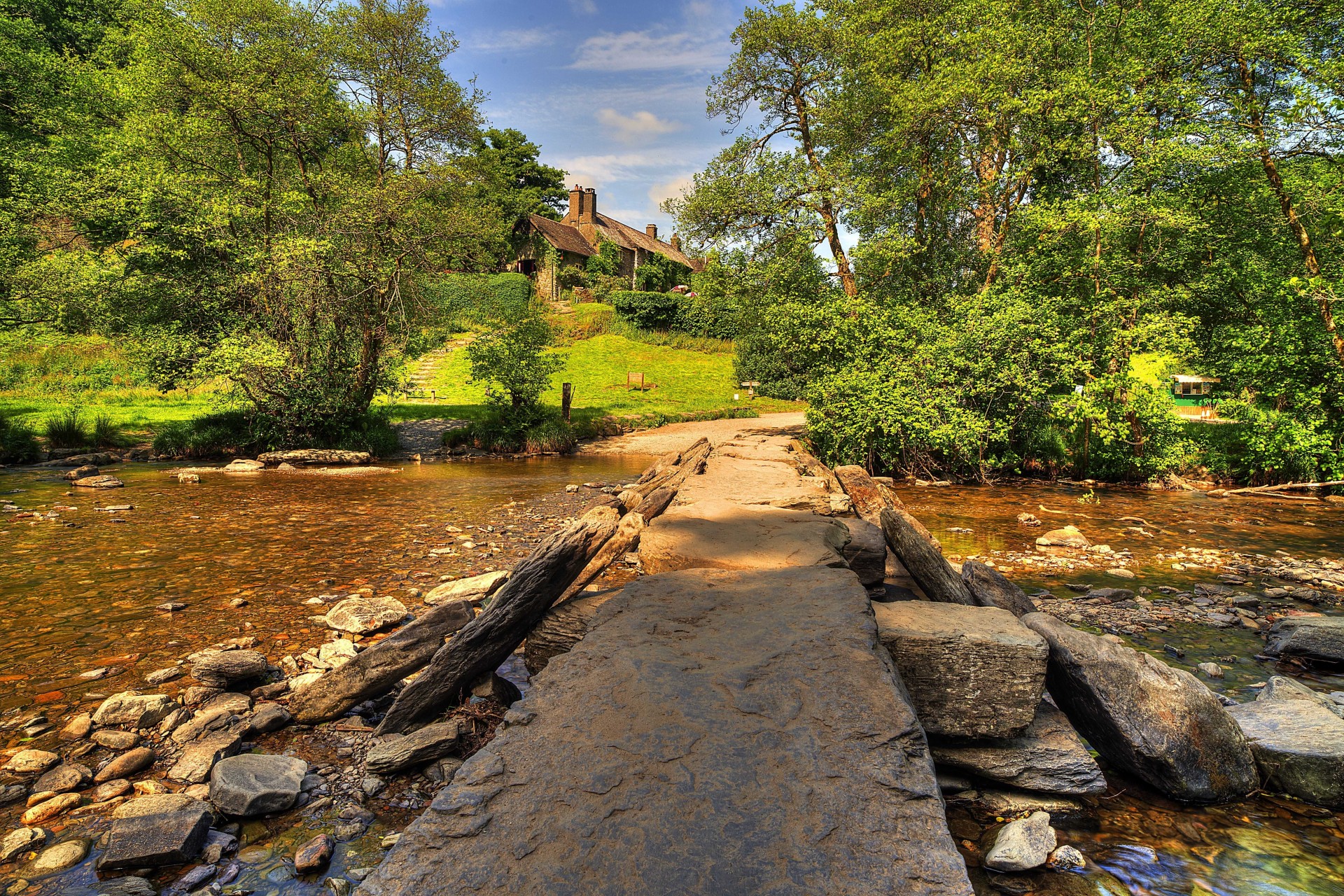 arbres paysage rivière