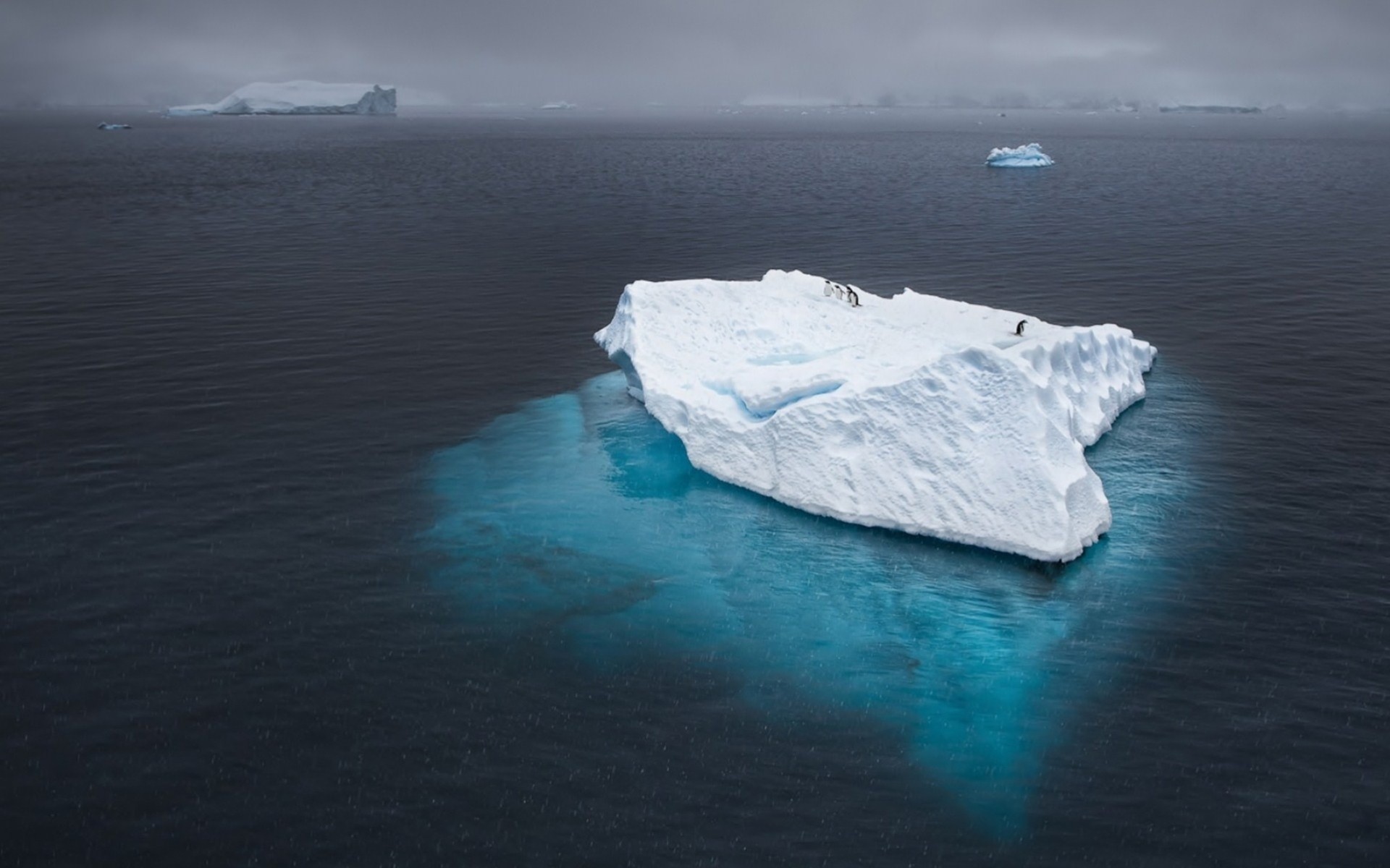 pingüinos antártida océano iceberg