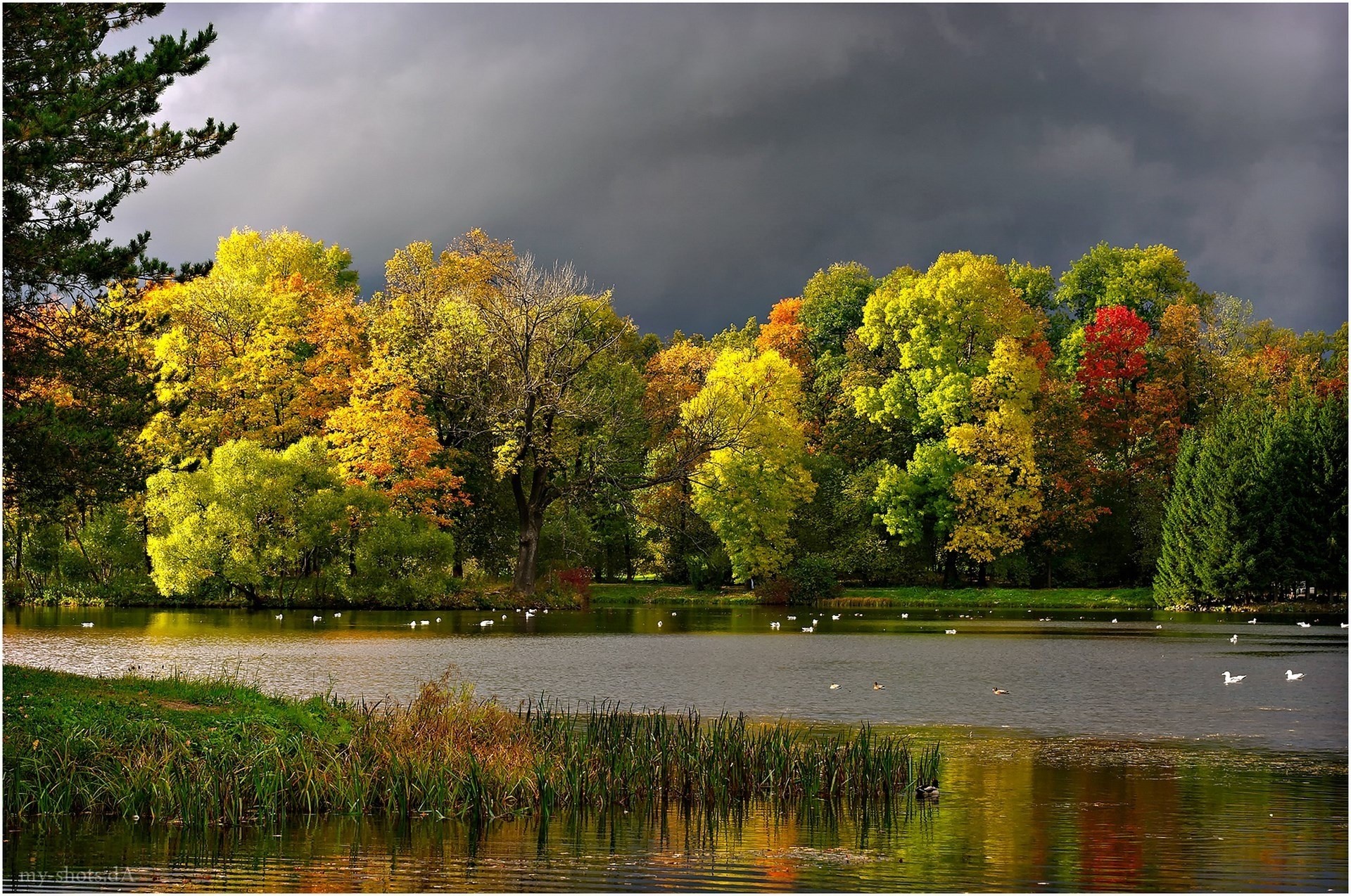 herbst landschaft wolken möwen teich