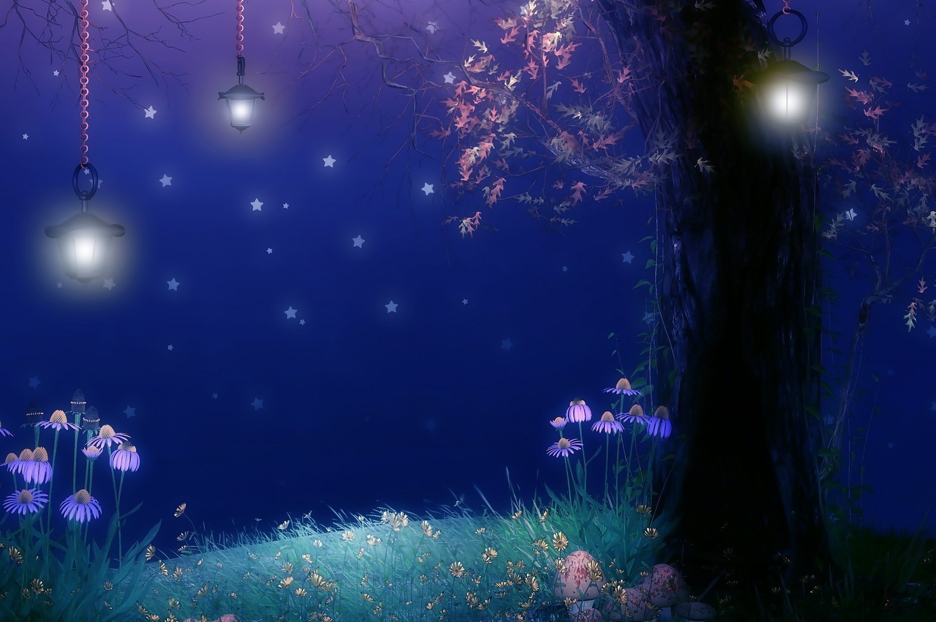 flowers tree stars lights foliage mushrooms night