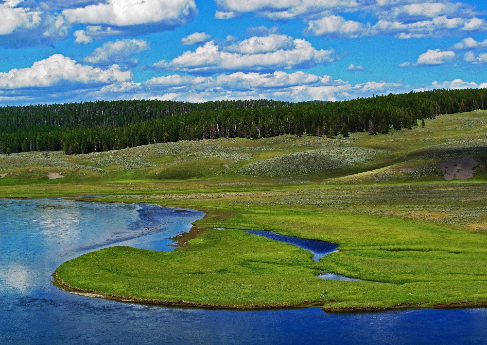 rzeka park narodowy yellowstone wzgórza natura las stany zjednoczone