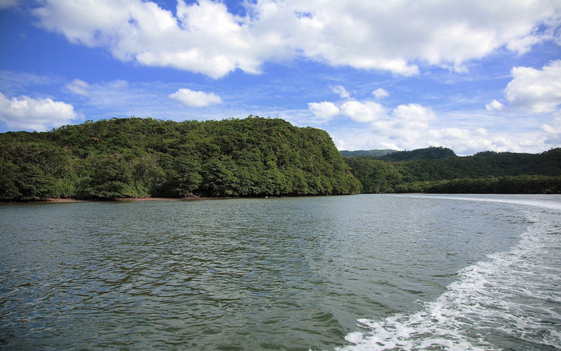 cielo mar árbol