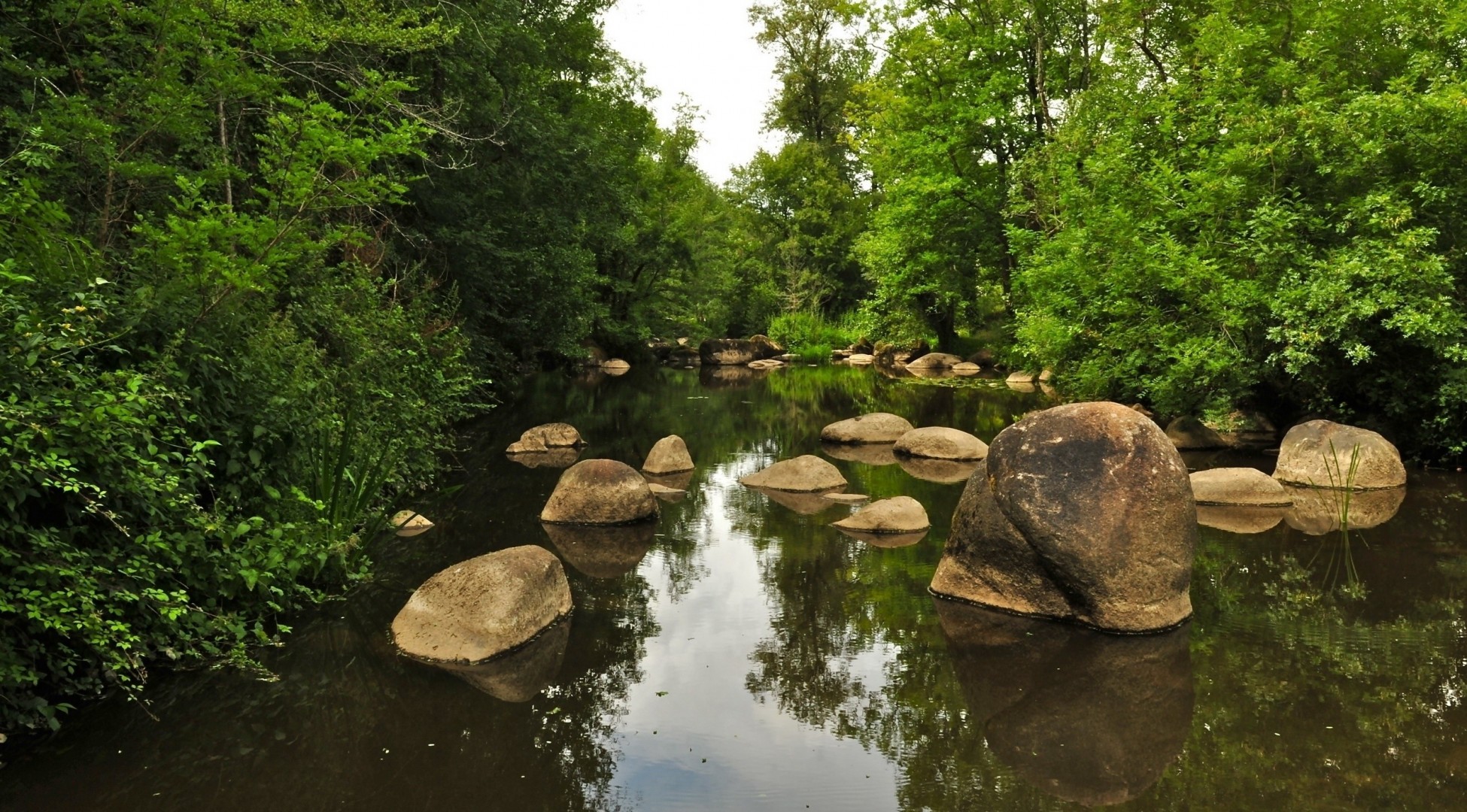 piedras pesca río naturaleza tema bosque vacaciones encantador