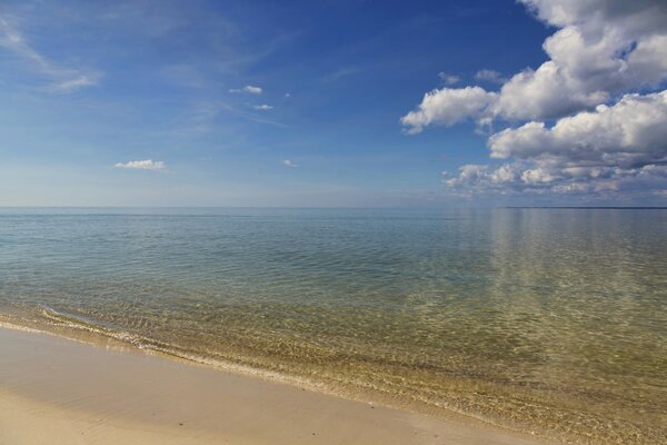 Sandy shore of the golden sea