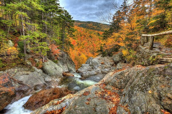 Herbstliche Landschaft. Wald, Berge und Fluss