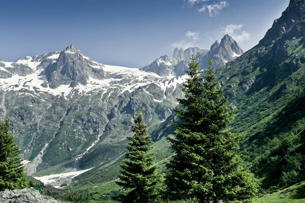 Hermosa naturaleza en las montañas alpinas