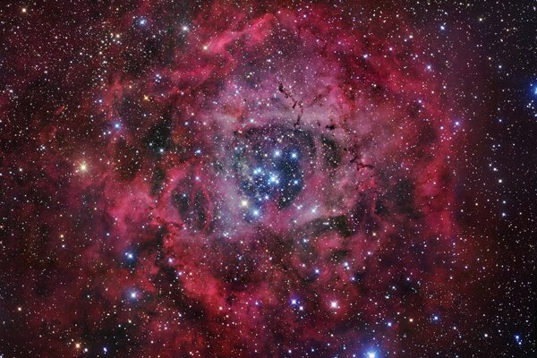 The nebula is pink with patches of bright stars