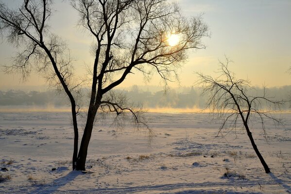 Winterlandschaft mit Sonne und Baum