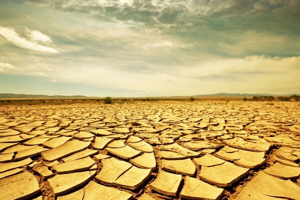 Siccità nel deserto in estate