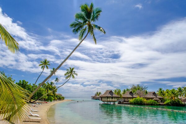 Tropischer Strand in Australien im Sommer