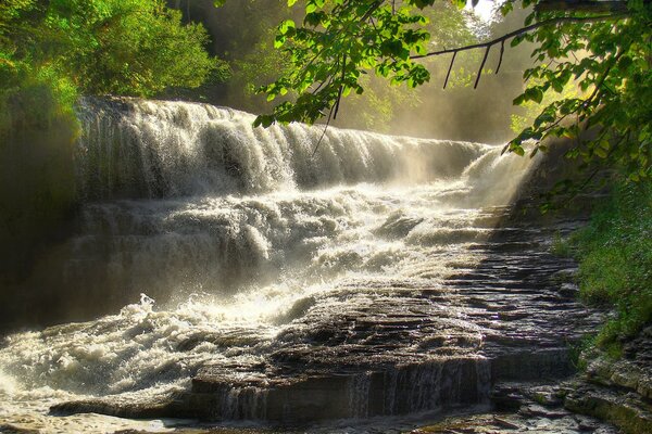 A small waterfall in the middle of the park