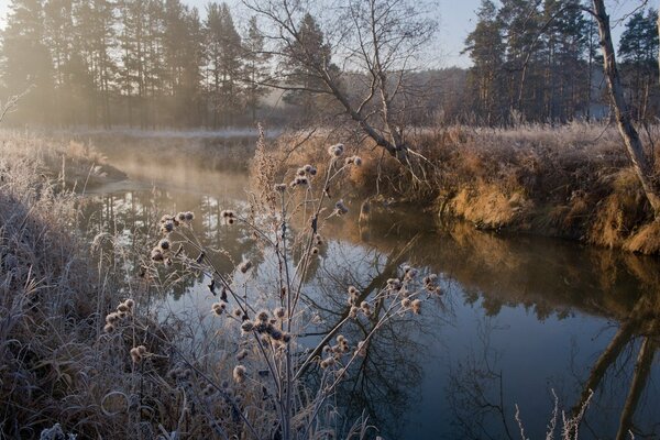 The grasses on the river banks are covered with frost