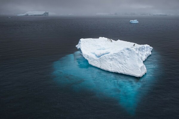 Iceberg en el océano. Bloque de hielo