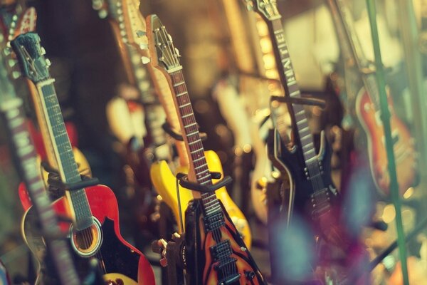 Grand choix de guitra dans le magasin de musique