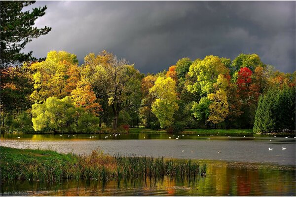 Paesaggio autunnale di prudaalpiński