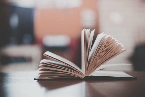 An open book lying on the table