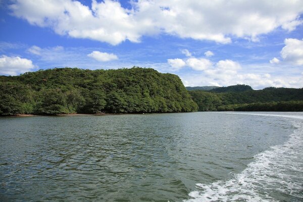 Die Insel in der Mitte des Meeres ist von dichter Vegetation bedeckt