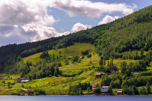 Зелёные холмы. Природа в Норвегии