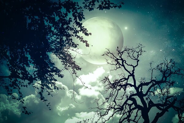 Noche espeluznante, Luna llena cubierta por una rama