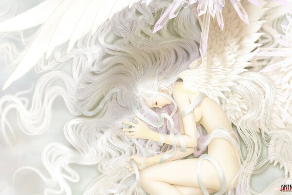 Arte chica ángel con alas blancas