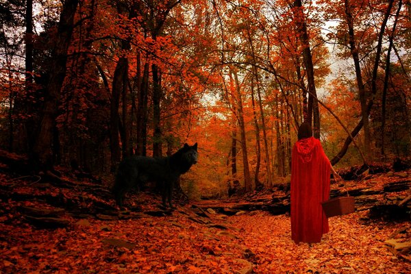 Caperucita roja y lobo negro