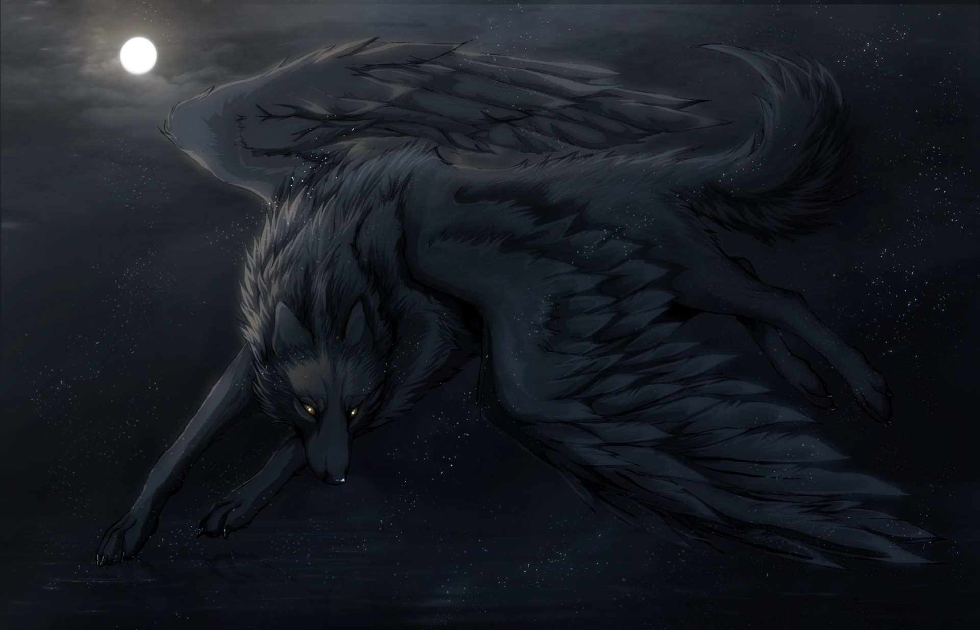 art night wolf moon wing