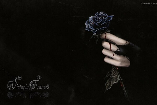 A black rose crying blood