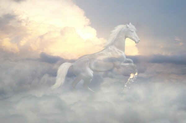 Fantasma del cavallo tra le nuvole nel cielo